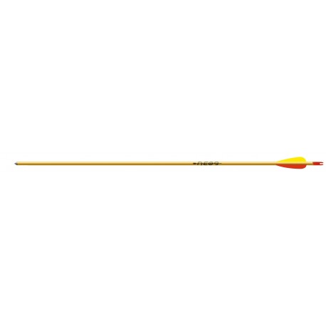 Easton XX75 Neos arrow