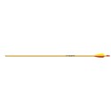 Easton XX75 Neos arrow