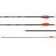 Avalon Tyro Carbon Arrow