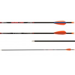 Avalon Tyro Carbon Arrow