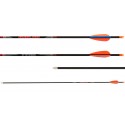 Avalon Tyro Carbon Arrow