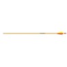 Easton XX75 Neos arrow