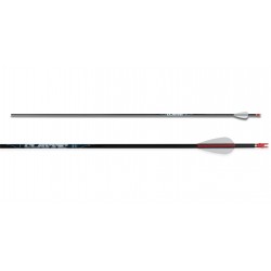 Avalon Carbon CLASSIC Arrow 12 pcs